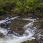 USA, Pennsylvania, Delaware Water Gap. Stream rapids and forest. Art Print